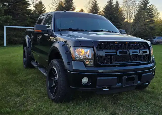 2010 FORD F150 