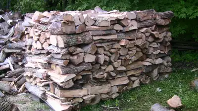 HARDWOOD FIREWOOD FOR SALE (IN BANCROFT), View more