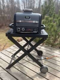 Ninja Woodfire Grill, smoker with Stand and Cover
