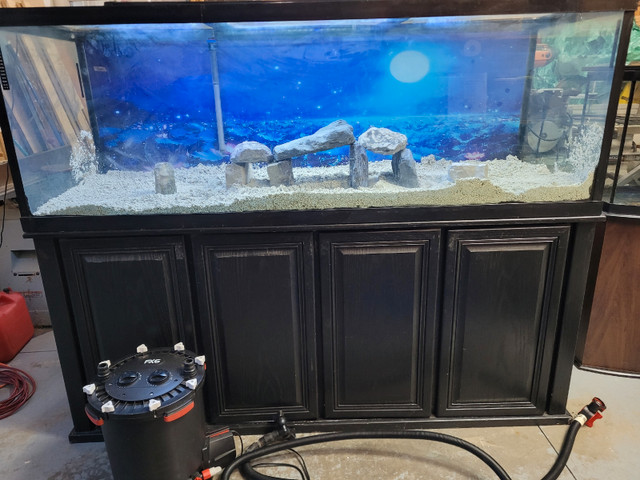 180 gallon aquarium complete setup with fx6 canister filter | Fish for  Rehoming | Woodstock | Kijiji