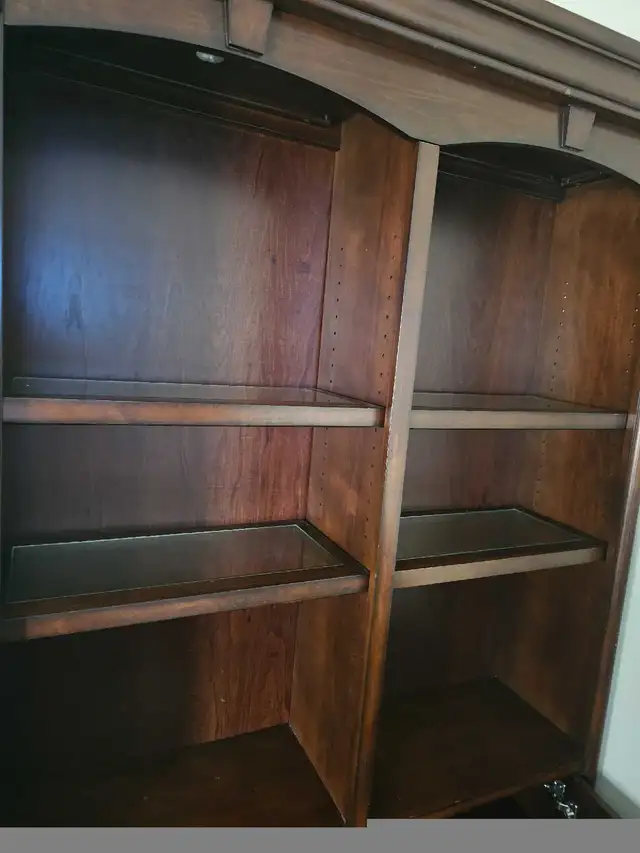 Bookcase in Bookcases & Shelving Units in Edmonton - Image 6