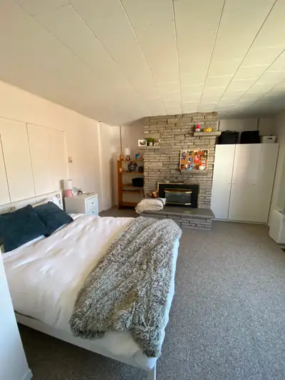 224 Collingwood St. Rent: $700 (utilities included) - 1 bedroom in empty 6-bedroom house - Desk - Cl...