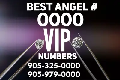 Luxury Vip 416/647/905 numbers angel 0000 in main code 905, View more