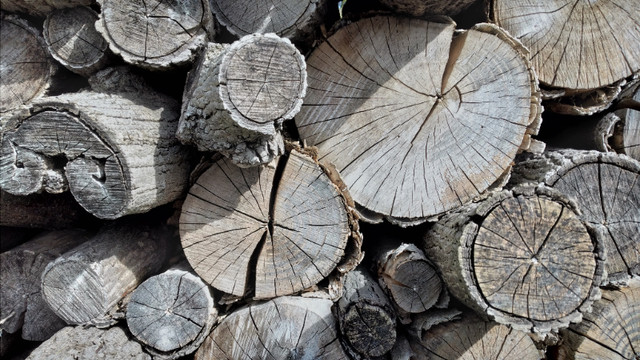 Seasoned Hardwood  Fire Wood in Other in Cambridge - Image 2