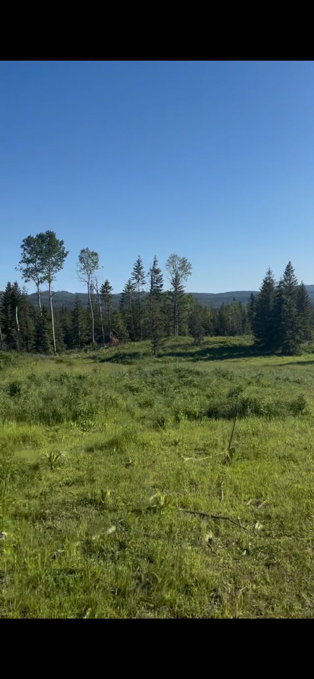 163 Acres in FALKLAND! in Land for Sale in Kamloops - Image 4