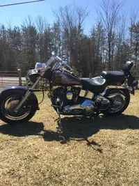 1994 Harley Davidson Softail Custom