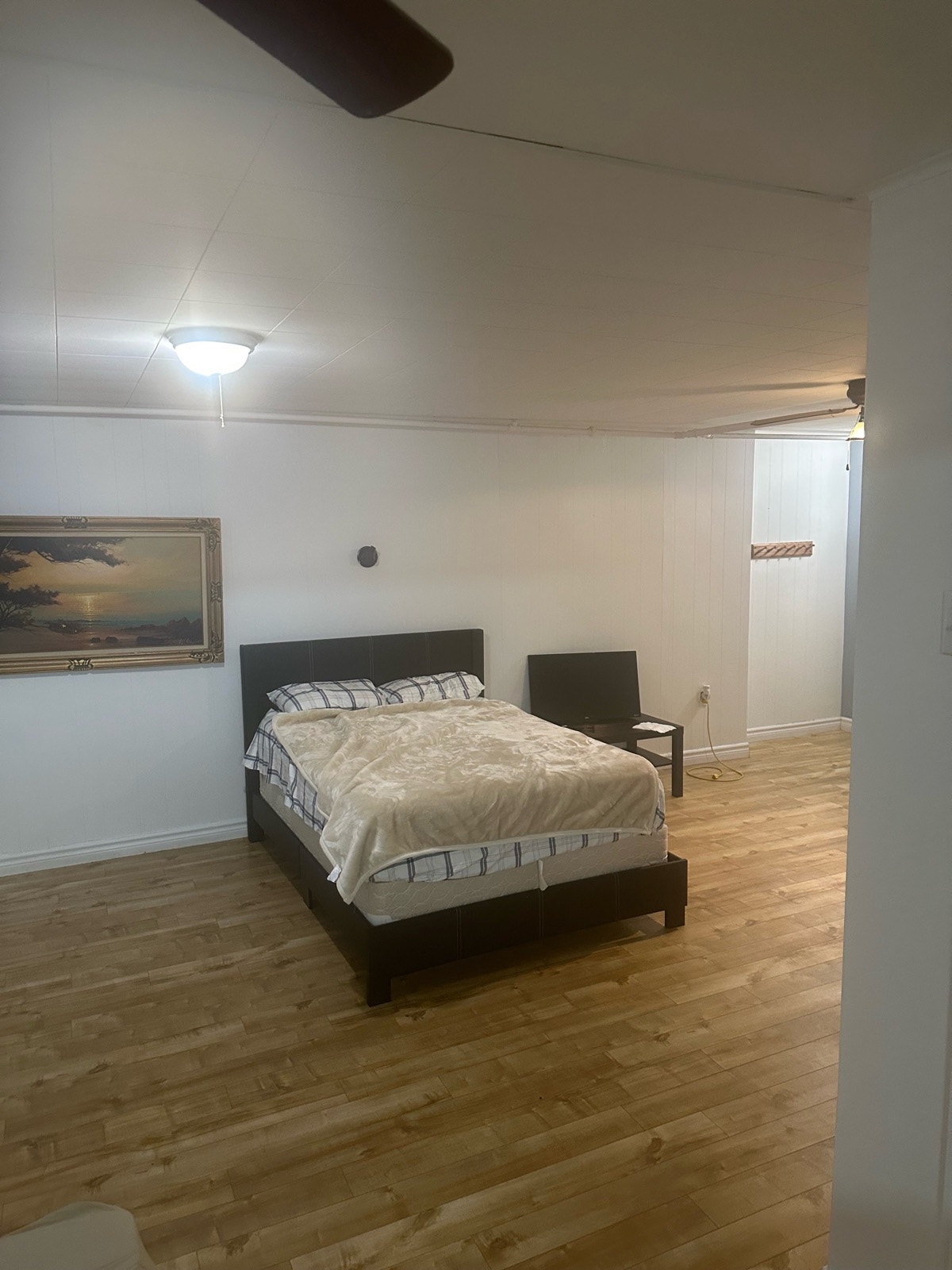 Grand beau spacieux rénover 4/12  à louer trois rivières — photo 3
