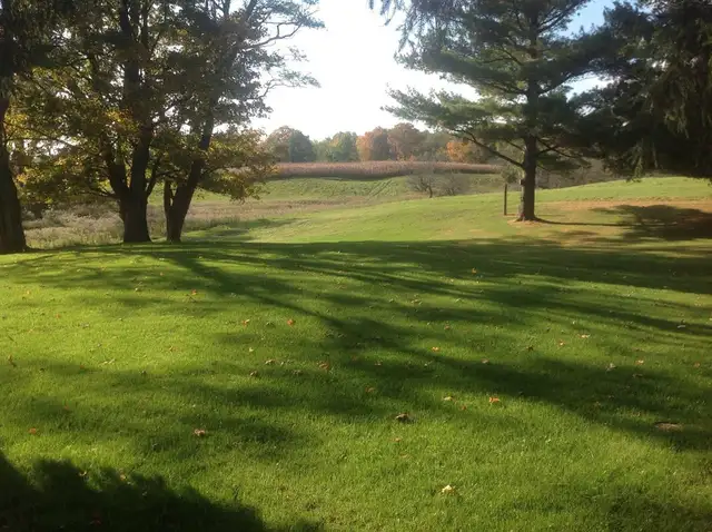 Hydroseeding / Sod / Grass Seeding63005664244353123