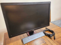 BENQ 24 inch RL2455 Gaming PC Monitor