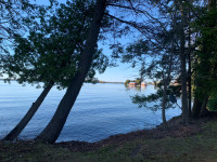 Rent  Cabin - Private and secluded on a large Lake.