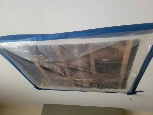 hiring professional painter, plaster628637135179551213