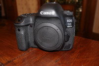 Canon 5D MK 4 with 28-135 travel lens. 