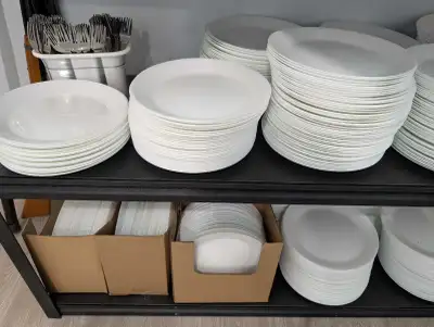 I have 500 plates and 500 of each spoons, forks, teaspoon, and knives remaining. Take what you need....