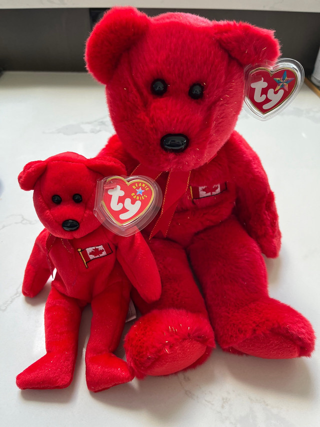 Pierre Beanie Buddy and Beanie Baby set in Arts & Collectibles in La Ronge