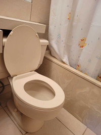 FREE Low Profile American Standard Toilet