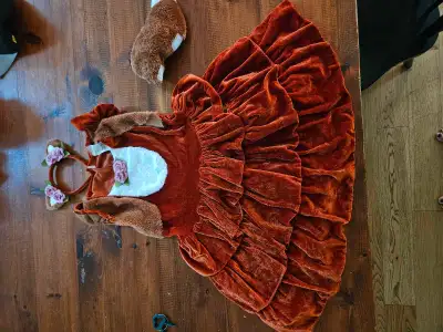 Fox costume 10-12, View more