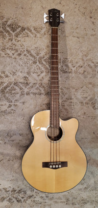 Fender Bass Acoustic