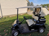 2014 EZGO RXV 48V Electric Golf Cart 
