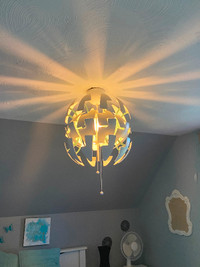Unique ceiling light