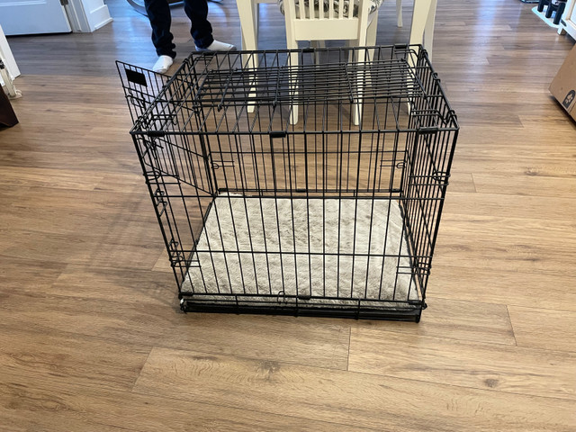 Cage pour chien  dans Autre  à Laval/Rive Nord - Image 4