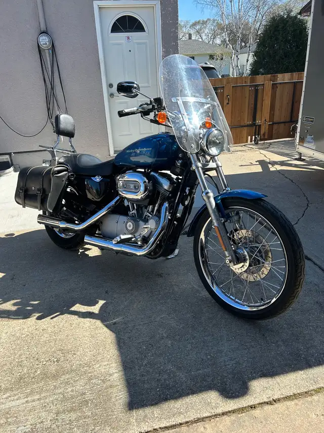 2005 Harley Davidson Sportster in Street, Cruisers & Choppers in Winnipeg - Image 3