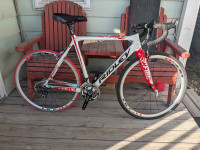 Ridley Xfire Carbon Fiber Cycle Cross Bike