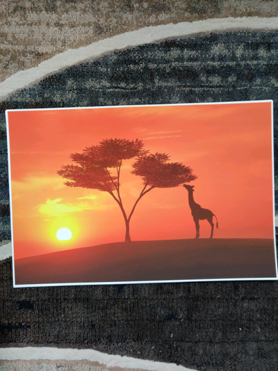 Wildlife prints, View more