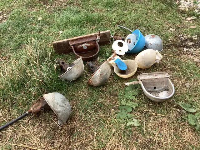 Auto water bowl in Livestock in Moncton - Image 2