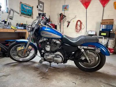 2009 Harley Davidson 1200XL Custom Sportster. Only 16,500 kms, 2 sets of keys and fobs, built in bat...