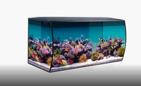 Looking for a 50 - 75g Aquarium 