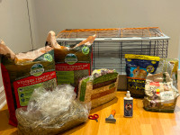 Everything you will need to house and feed a bunny