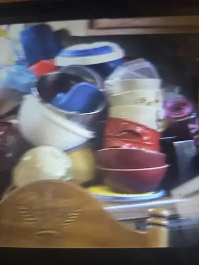 organizer (for hoarders or simple tasks), View more