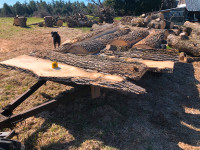 ash lumber rounds