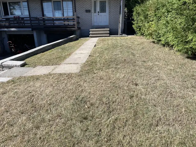 general yard maintenance & fall cleanup services64319062101634120