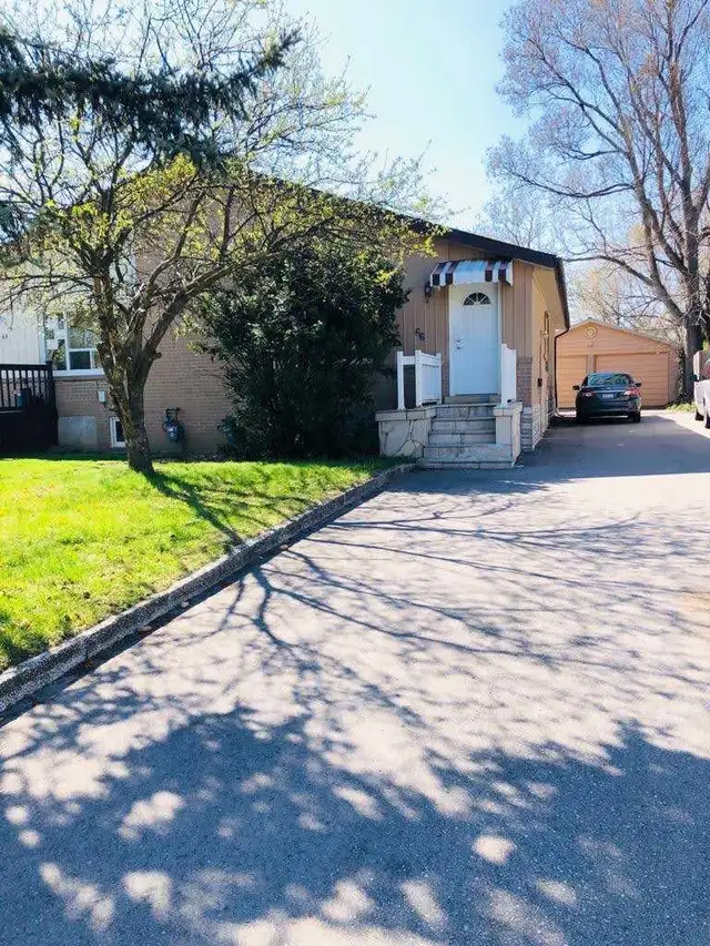 3 beds, 6 parking  , Downtown Brampton