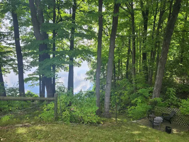 Lakefront Home For Rent 3bd/2bath on huge lot in Long Term Rentals in Cambridge - Image 10