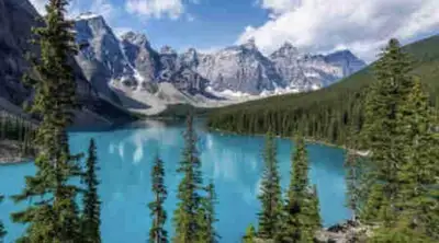 Single Mom needing help with damage deposit , View more