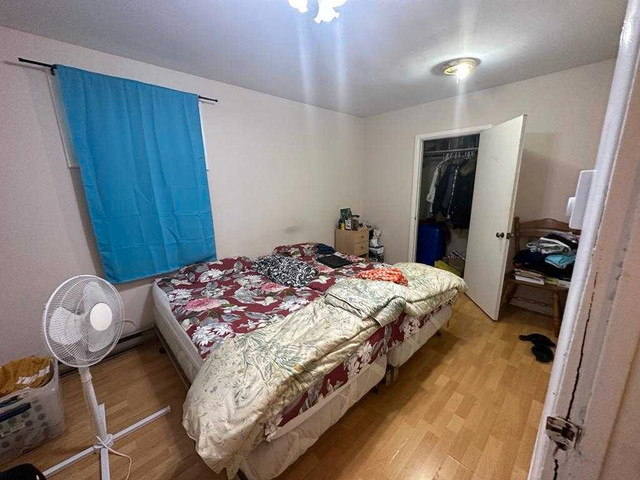 Shared Accomodation for students available in Room Rentals & Roommates in Kingston - Image 2