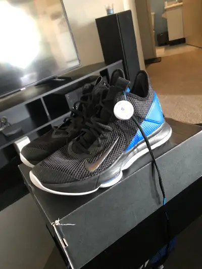 Lebron James Nike shoes mint condition size 10, View more