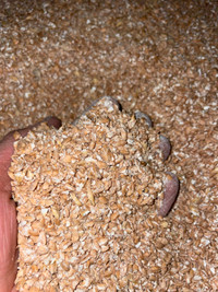 Rolled feed grain in bags. horses, chickens, pigs, cows