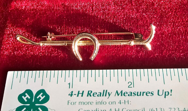 4 stock pins, used, but like new! in Jewellery & Watches in Peterborough - Image 4