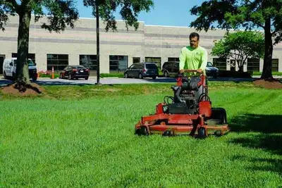 affordable lawn mowing toronto gta , View more