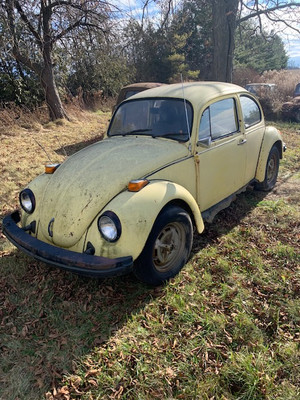 1975 Volkswagen Beetle