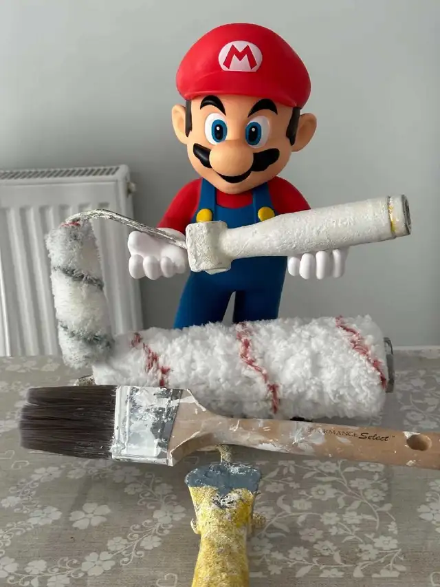 PROFESSIONAL PLASTERER 