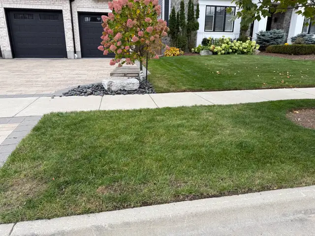  FALL YARD CLEANUP SERVICES 594162952879493122