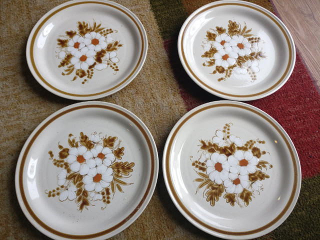 Vintage Mountain Wood Dried Flowers stoneware dinner  plates in Arts & Collectibles in Kitchener / Waterloo
