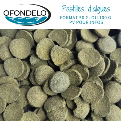 Nourriture pour poisson: pastilles d'algues ( wafers), View more