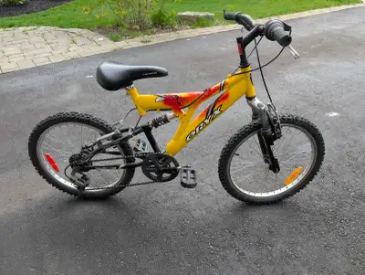 Junior mountain bike  20-inch, View more