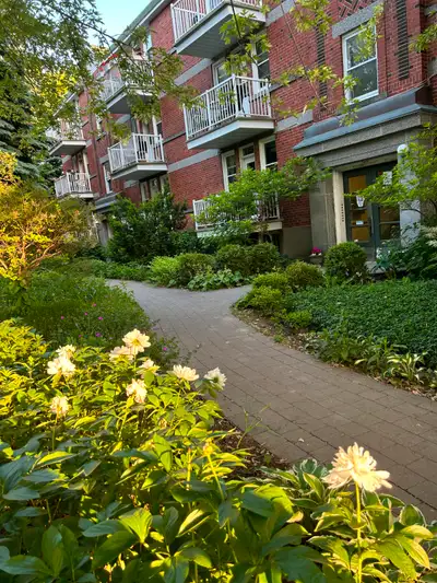 Grand Appartement  - Large 3 1/2 - Côtes-des-neiges -Outremont -