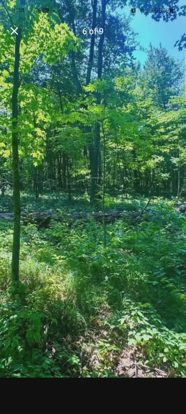 Stunning 21 acre building lot for sale in Land for Sale in Ottawa - Image 7